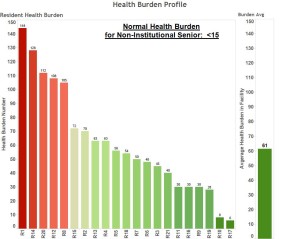 Health Burden Profile