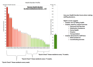 Health Burden Profile
